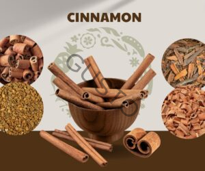 Gusto Tươi ngon như vừa mới hái