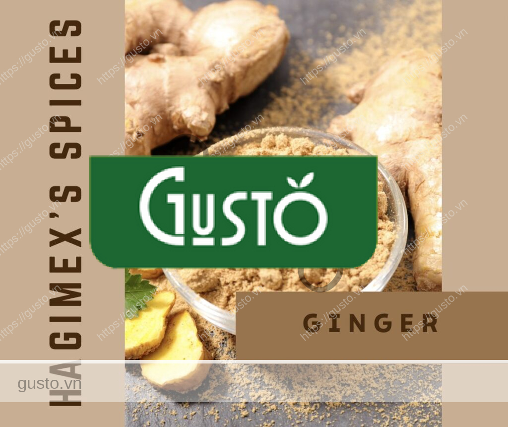 Gusto Tươi ngon như vừa mới hái