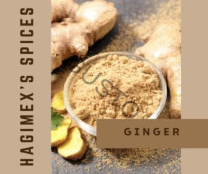 Gusto Tươi ngon như vừa mới hái