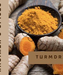 Gusto Tươi ngon như vừa mới hái