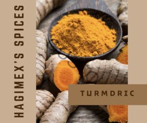 Gusto Tươi ngon như vừa mới hái