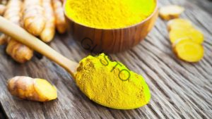 Gusto Tươi ngon như vừa mới hái