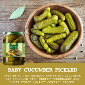 Gusto Tươi ngon như vừa mới hái