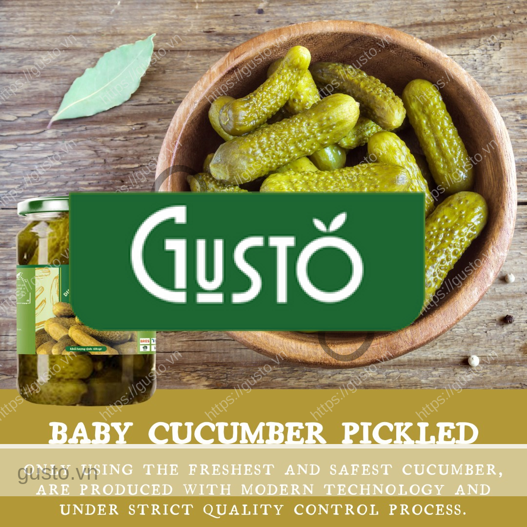 Gusto Tươi ngon như vừa mới hái