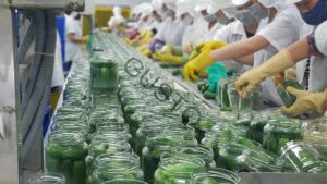 Gusto Tươi ngon như vừa mới hái