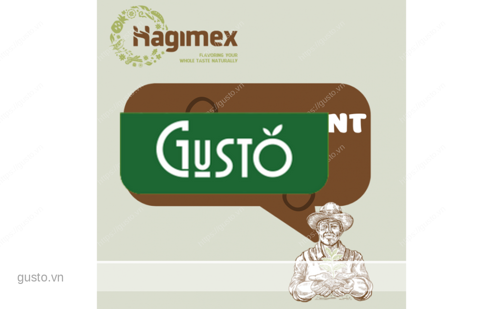 Gusto Tươi ngon như vừa mới hái