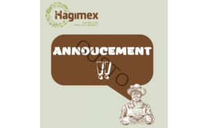 Gusto Tươi ngon như vừa mới hái