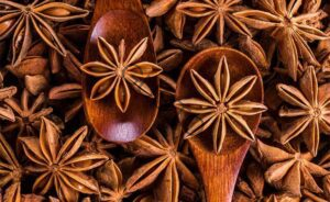 Gusto Tươi ngon như vừa mới hái