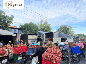 Hagimex thu mua vải