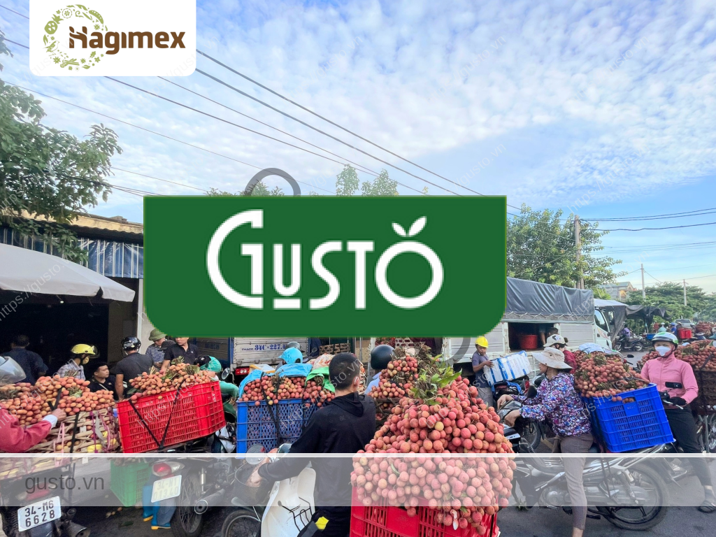 Hagimex thu mua vải